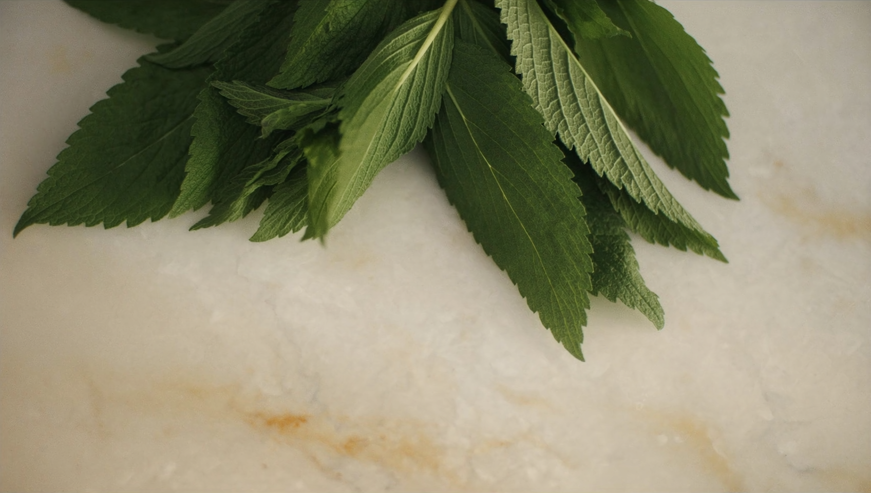 Steviol Glycosides